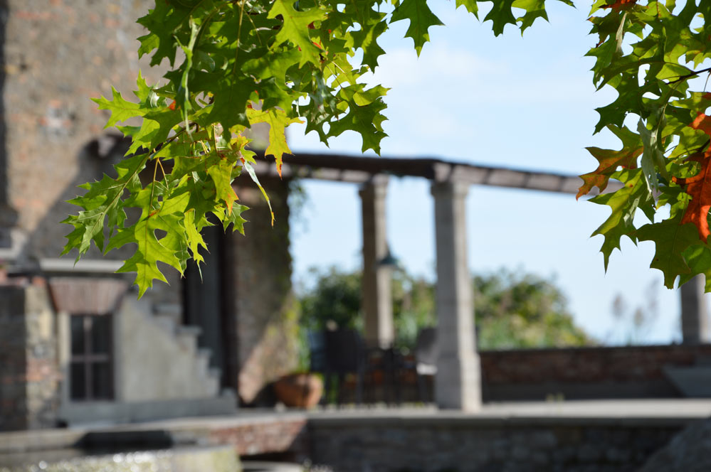 DSC_0669 DSC_0669